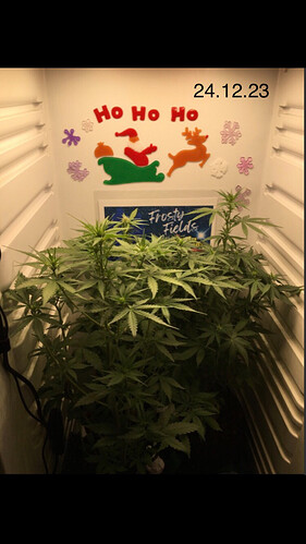 Growreport Bild 8