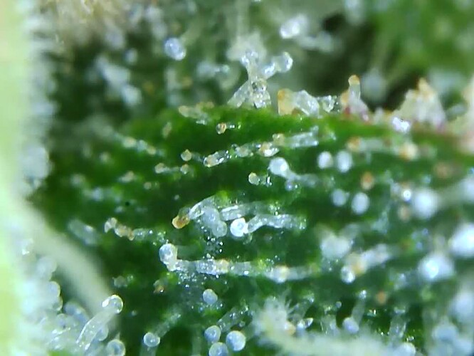 Growreport Bild 23