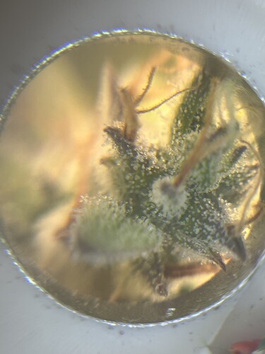 Growreport Bild 13