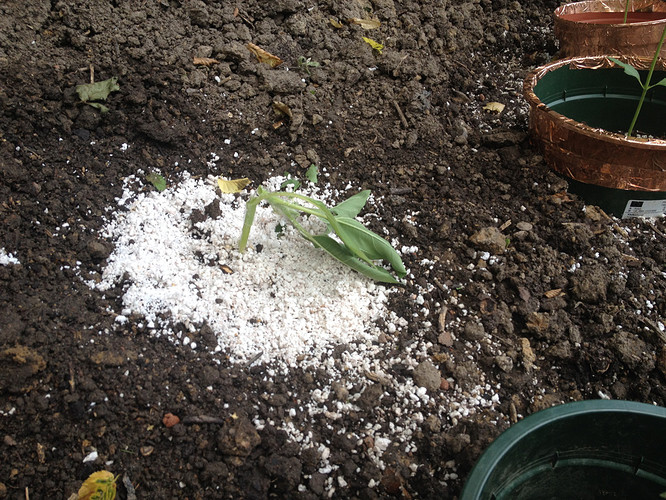 Growreport Bild 21