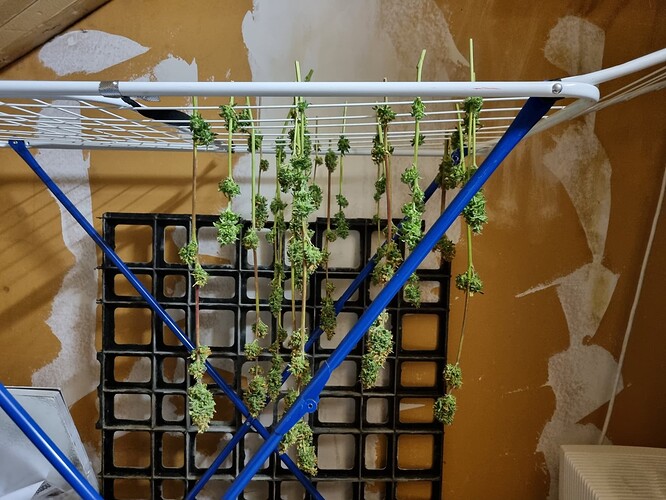 Growreport Bild 34