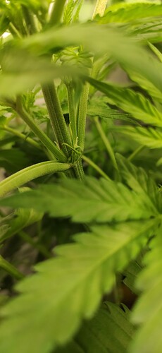 Growreport Bild 11