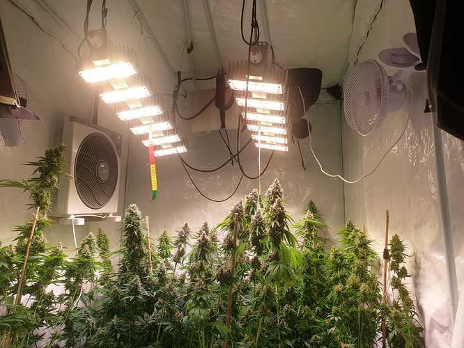 Growreport Bild 12