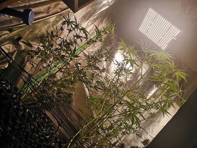 Growreport Bild 9