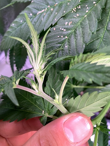 Growreport Bild 11