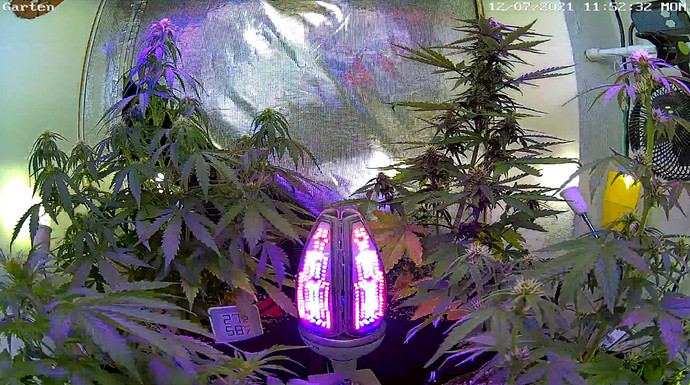 Growreport Bild 17