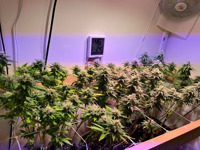 Growreport Bild 4