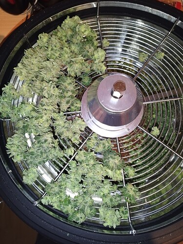 Growreport Bild 19