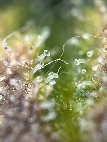 Growreport Bild 38