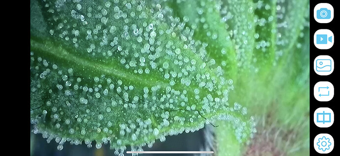 Growreport Bild 9