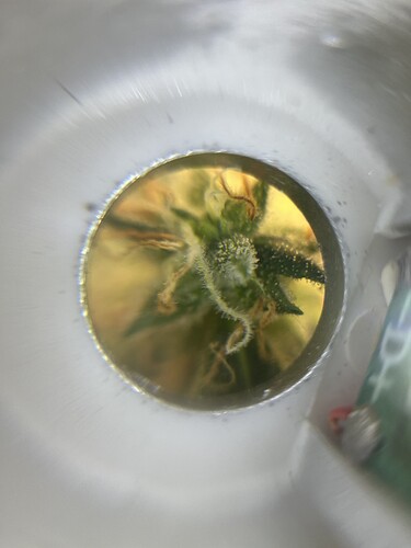 Growreport Bild 20