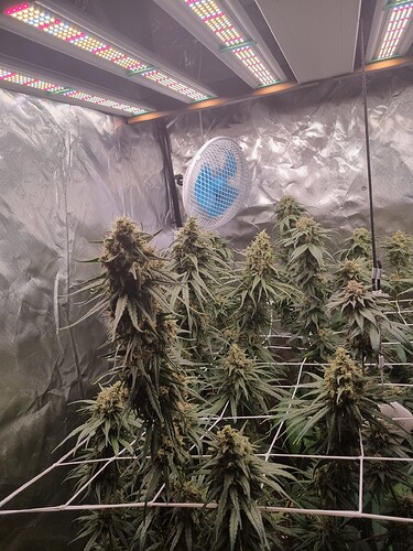 Growreport Bild 17