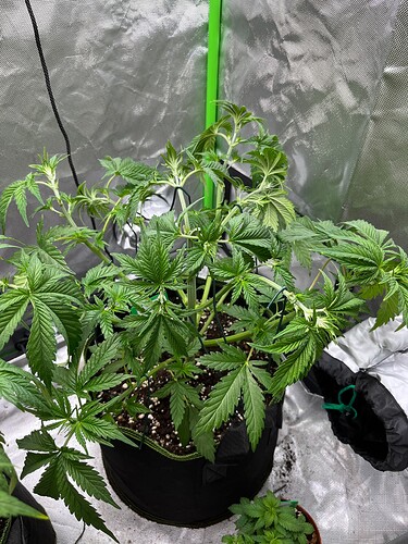 Growreport Bild 11