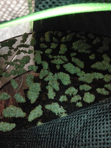 Growreport Bild 18