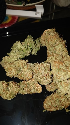 Growreport Bild 2