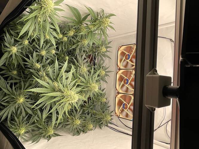Growreport Bild 2