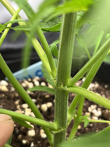 Growreport Bild 10