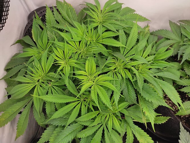 Growreport Bild 12