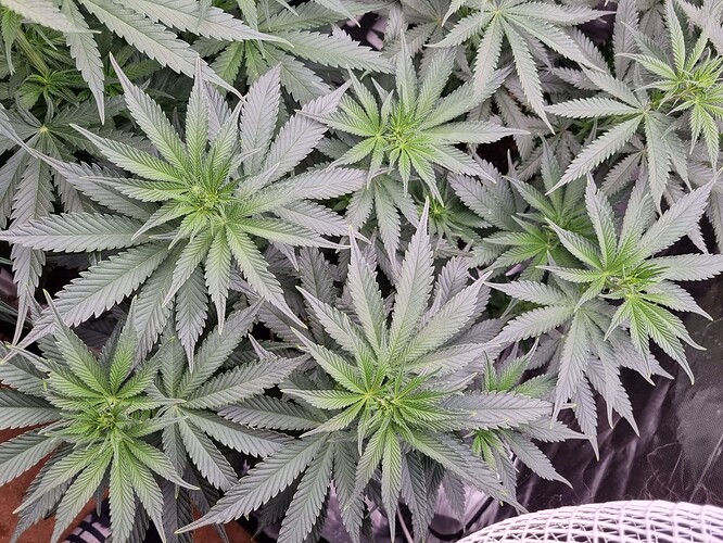 Growreport Bild 10