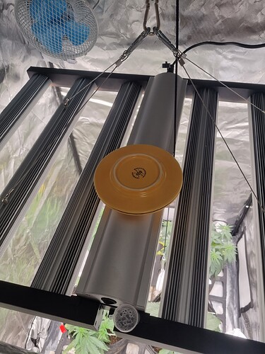Growreport Bild 5