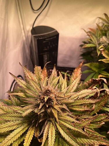 Growreport Bild 7