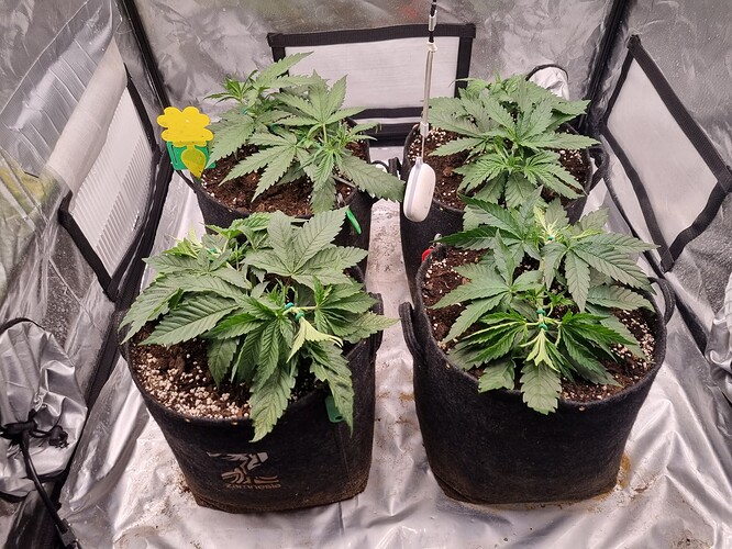 Growreport Bild 14