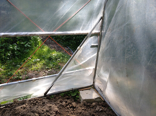 Growreport Bild 4