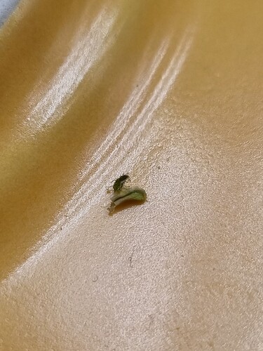 Growreport Bild 26