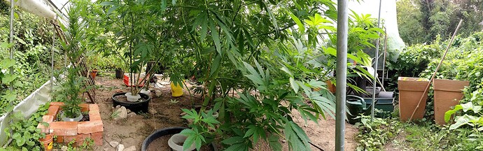 Growreport Bild 16