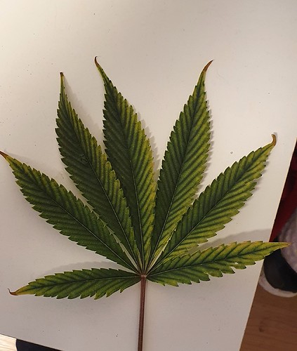 Growreport Bild 8