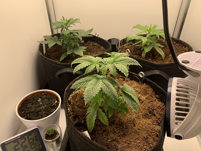 Growreport Bild 1