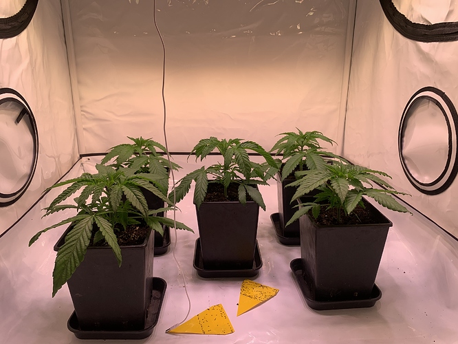 Growreport Bild 8