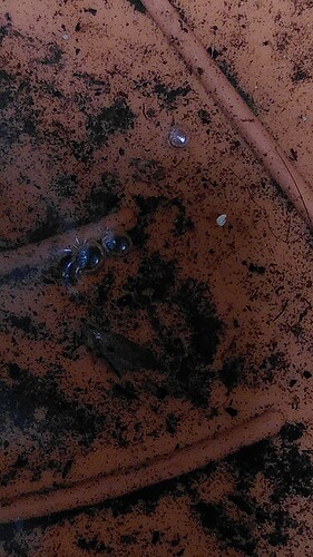 Growreport Bild 6