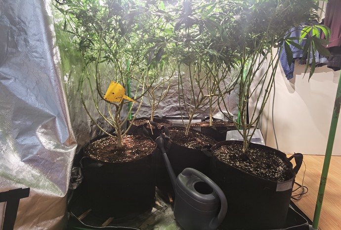 Growreport Bild 1