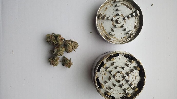Growreport Bild 4
