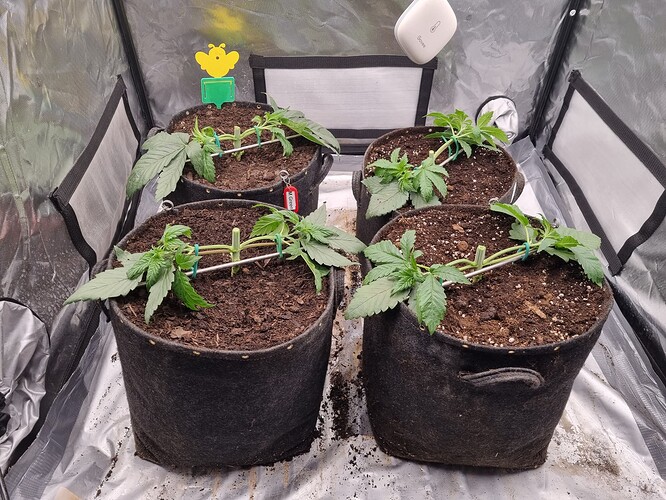 Growreport Bild 16