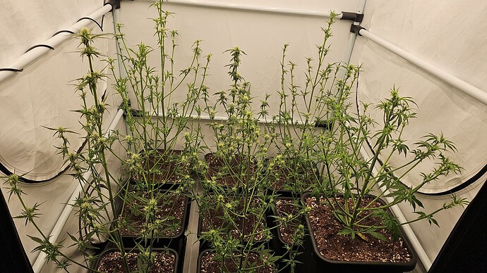 threema-20231018-214925755