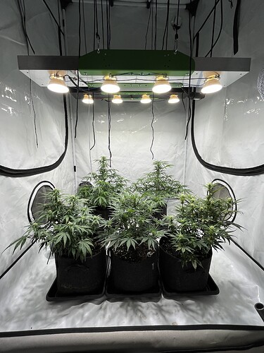 Growreport Bild 11