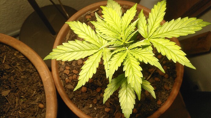 Growreport Bild 4