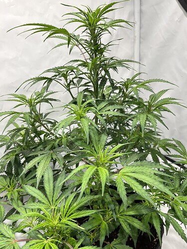 Growreport Bild 22
