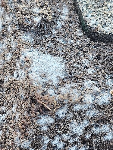 Growreport Bild 11
