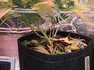 Growreport Bild 4