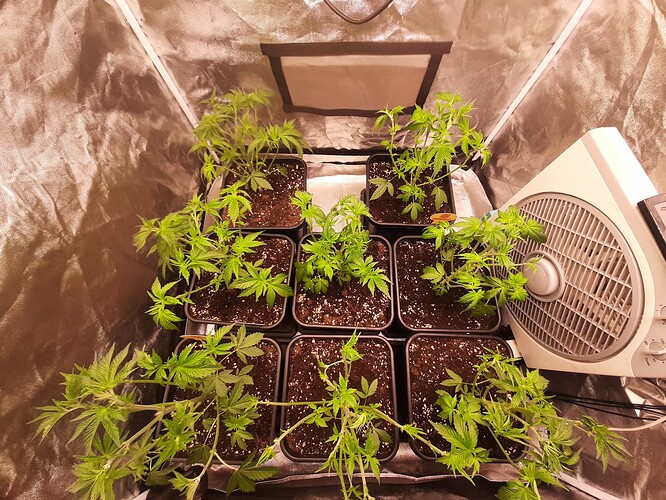 Growreport Bild 6