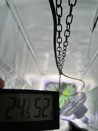 Growreport Bild 6