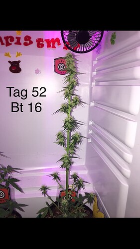 Growreport Bild 16