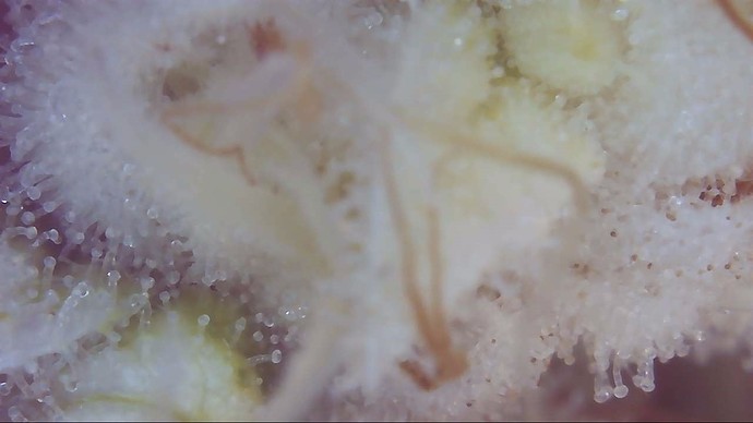 Growreport Bild 13