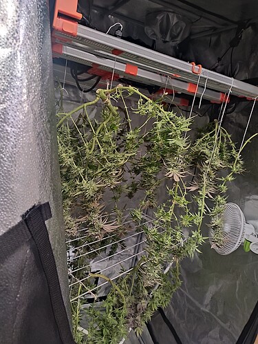 Growreport Bild 6