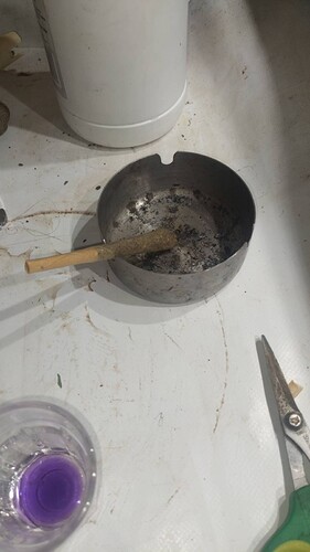 signal-2024-02-02-192357_005