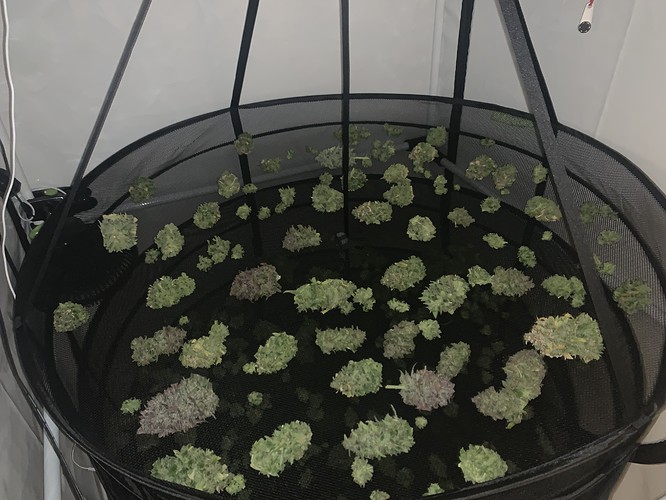 Growreport Bild 10