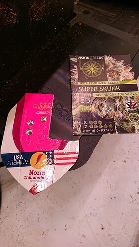 obscura1659643464417